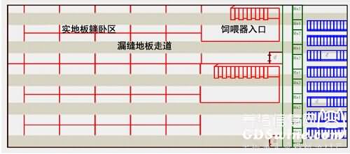 . 群养栏ESF（电子母猪饲喂）系统布局原则示意